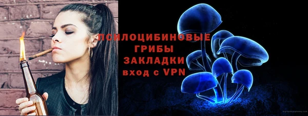 молекула духа Нефтегорск