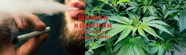 молекула духа Нефтегорск