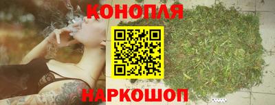 тгк Аргун