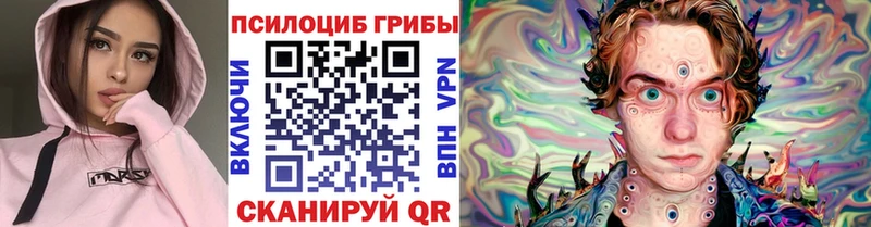 где купить наркоту  Ливны  Псилоцибиновые грибы прущие грибы 