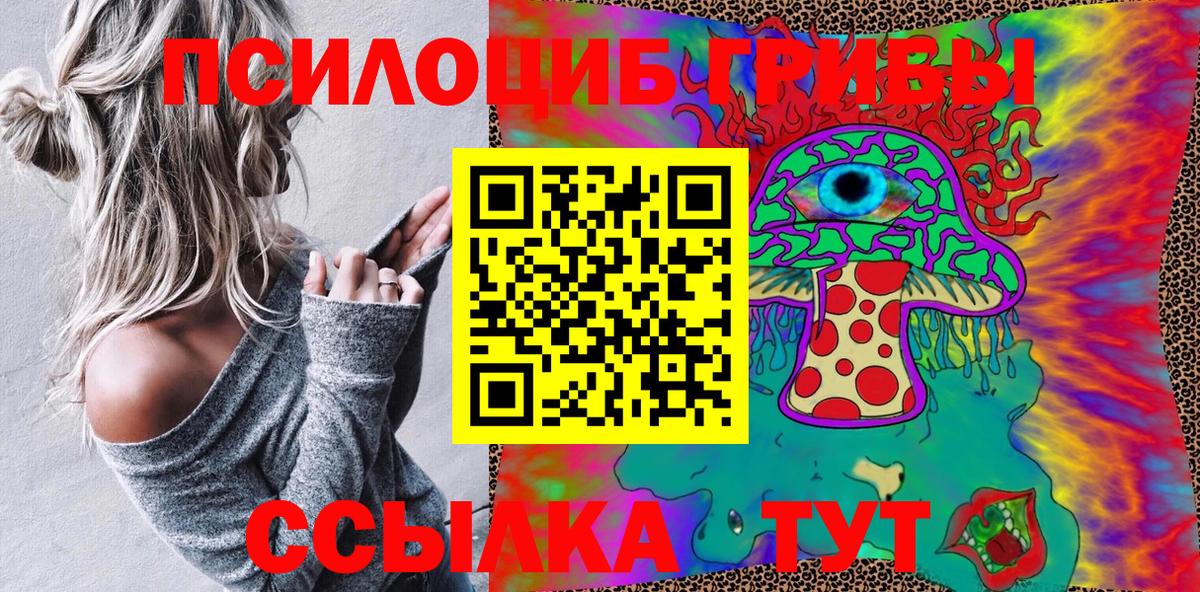 Псилоцибиновые грибы GOLDEN TEACHER  Ливны  что такое   Псилоцибиновые грибы Magic Shrooms 